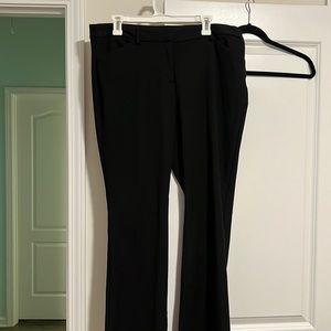 Low Rise Editor Boot Express Dress Pants